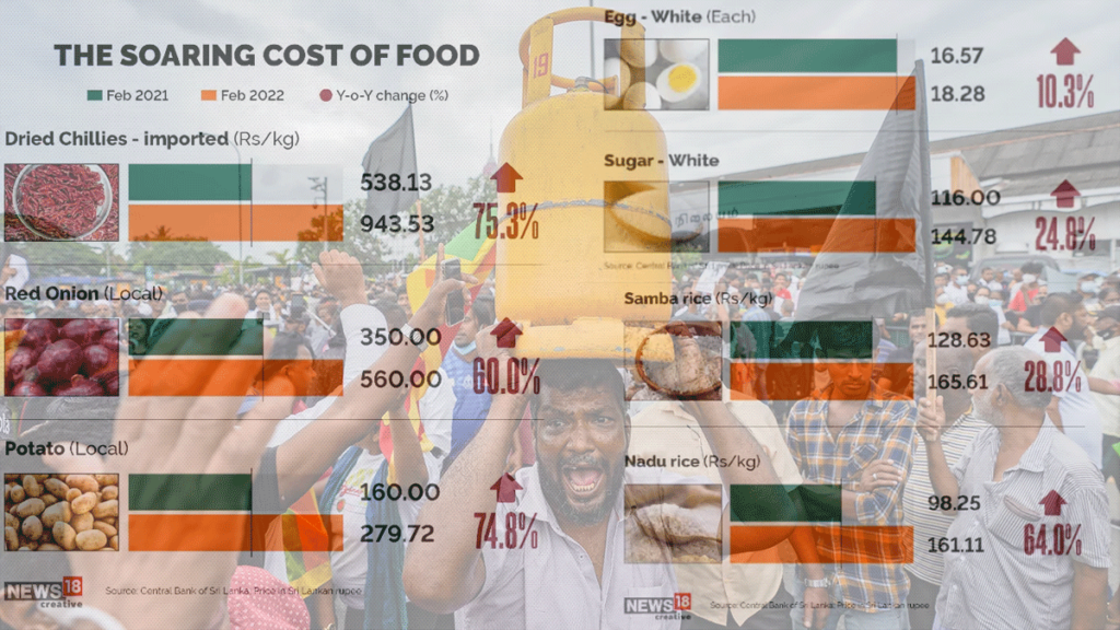 Reducing Income Disparity and Ensuring Affordable Essentials for All Citizens