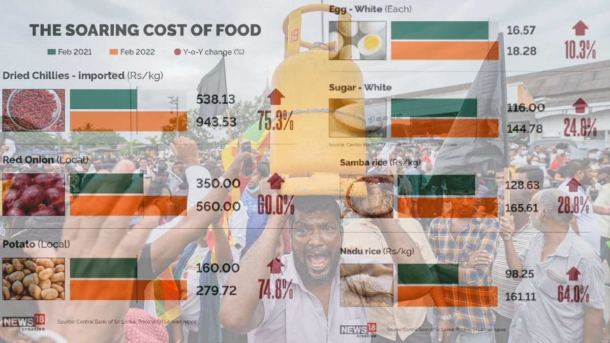 Reducing Income Disparity and Ensuring Affordable Essentials for All Citizens